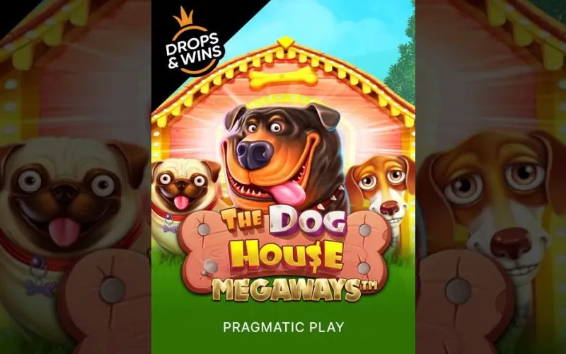 Los chilenos disfrutan de The Dog House Megaways en 1win con emocionantes giros.
